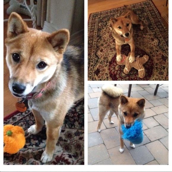 MEET YOUR POSHMARK AMBASSADOR II - Picture 2 of 3